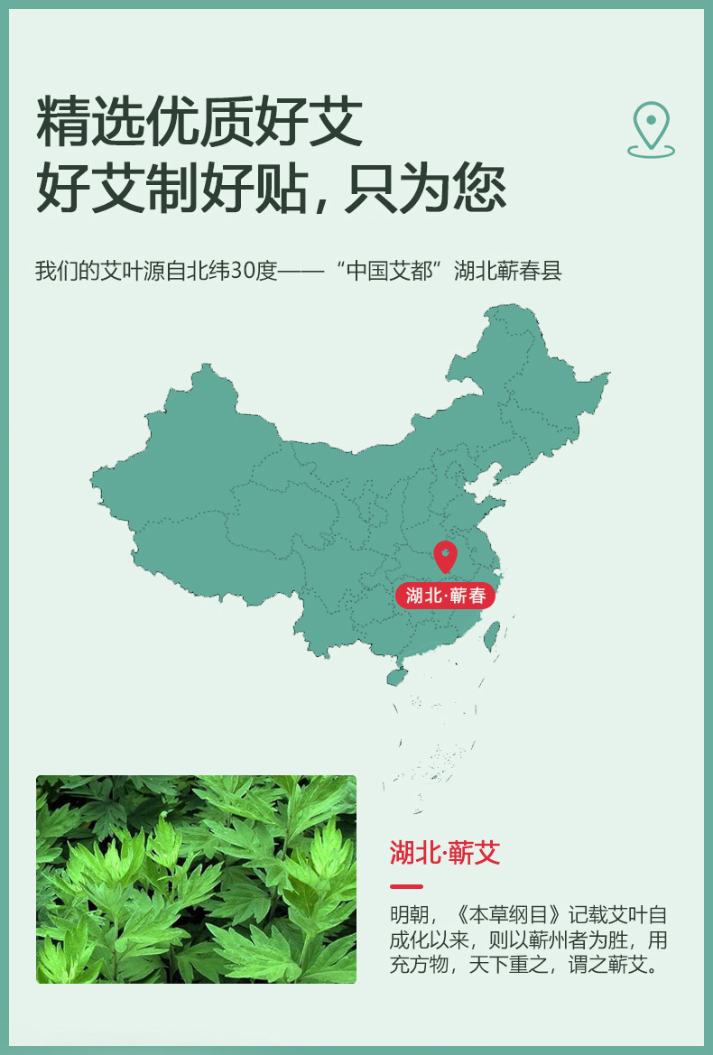 艾草頸椎貼(圖4) 膏藥代加工-艾草頸椎貼精選優(yōu)質(zhì)好艾葉-修康藥業(yè)