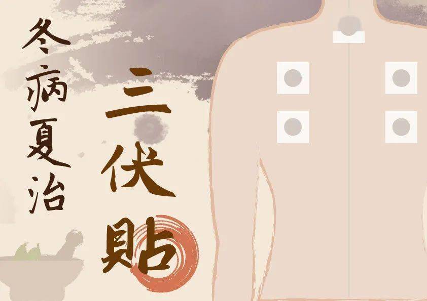 冬病夏治三伏貼生產(chǎn)廠家 冬病夏治三伏貼生產(chǎn)廠家